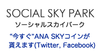 SOCIAL SKY PARK